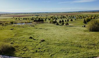 150 PERIMETER Dr, Alta, WY 83414