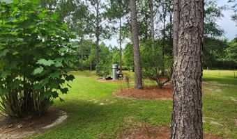 786 Blackberry Rd, Baconton, GA 31716