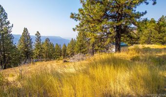 Summitview Dr, Ahsahka, ID 83520