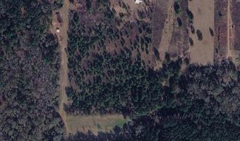 Story Rd. Lot # 2, Arabi, GA 31712