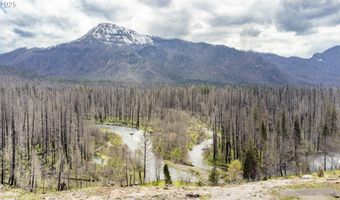 91737 BLUE RIVER RESERVOIR Rd, Blue River, OR 97413