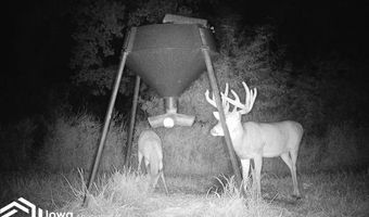 560 Th Ave, Albia, IA 52531