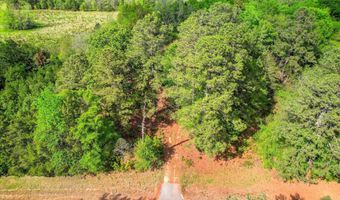 6995 Cobbham Rd, Appling, GA 30802