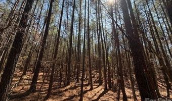 12 68 Acre 99 Rd, Blair, SC 29015