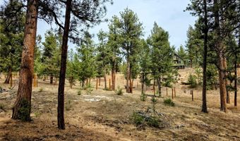 64 Elk Horn Ct, Bailey, CO 80421