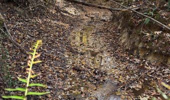 Hwy 9, Bruce, MS 38915