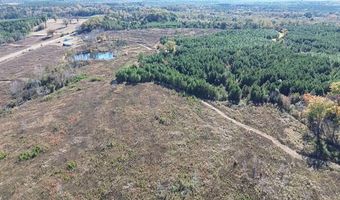 1228 River Rd, Ariton, AL 36311