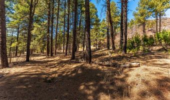 113 Pine Dr, Bayfield, CO 81122