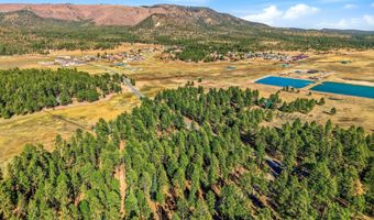 25319 US Hwy 191, Alpine, AZ 85920