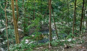 2926 Bryant Ridge Rd, Baxter, TN 38544
