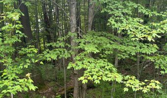 00 VT Route 105, Brighton, VT 05846