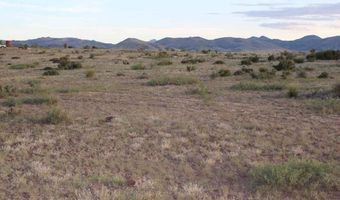 Tract 79 Sierra La Rana, Alpine, TX 79830
