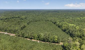 82 Acres Point Caswell Rd, Atkinson, NC 28421