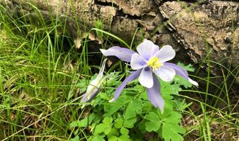 168 Mertz Pl Lot 65, Angel Fire, NM 87710