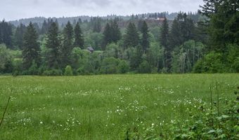 NE 389th St, Amboy, WA 98601