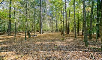 22240 GOOD FLOCKING Way, Frankford, DE 19945