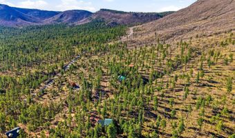 12 W Pergatory Dr, Alpine, AZ 85920