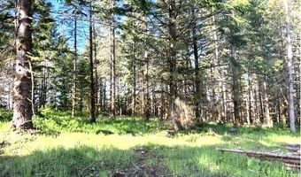 NW Lodge Rd, Banks, OR 97106