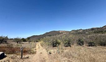 9927 Modrigan Ln, Fallbrook, CA 92028