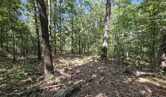 65 Acres Plainview Rd, Anderson, MO 64831