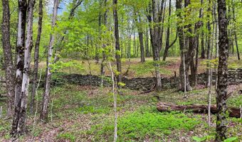 State Highway 28, Andes, NY 13731