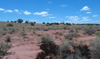 Tbd Ranch of the White Mountains, Concho, AZ 85924