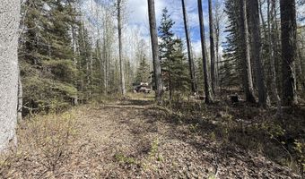 19396 N Fish Lake Rd, Chickaloon, AK 99674