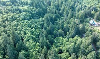 N Dubois Rd, Ariel, WA 98603
