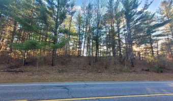 1091 Plum Valley Rd NW, Alden, MI 49612