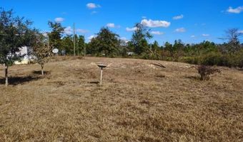 22884 NW Lake Mckinzie Blvd, Altha, FL 32421