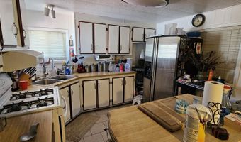 8 Buckhorn Ct, Austin, NV 89310