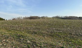 Lot 4 Mud Run Rd, Addison, NY 14801