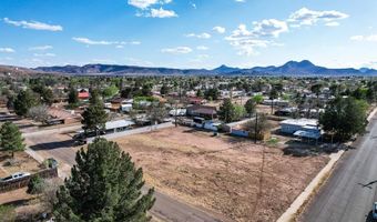 1405 N 6th St, Alpine, TX 79830