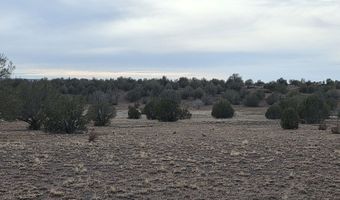 245 Antelope Run Rd, Ash Fork, AZ 86320