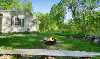 9707 ROGERS Rd, Alanson, MI 49706