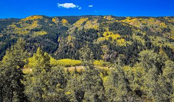 44481 HIGHWAY 82, Aspen, CO 81611