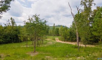 10675 29 Acres Shoal Creek Rd, Ashville, AL 35953