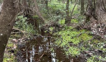 North 5 Ac Keyser Mill Road, Baker, FL 32531