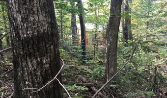 228 S Stagecoach Rd, Atkinson, ME 04426