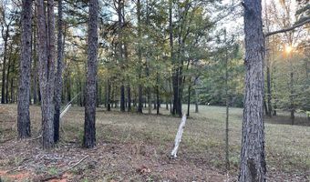 CR 260, Bruce, MS 38915