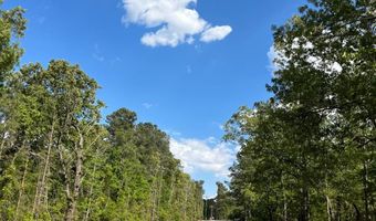 272 Church Camp Rd, Bishopville, SC 29010