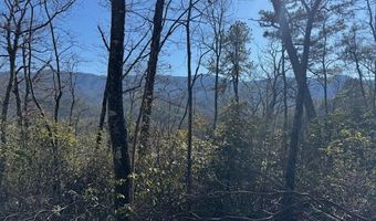 1834 Bristol Ave, Andrews, NC 28901