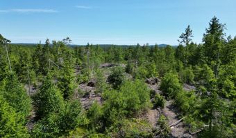 Lot 39 Southwest Brook Lane, Beddington, ME 04622