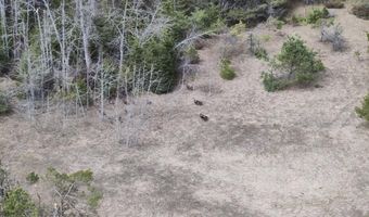 5280 Cathro Rd, Alpena, MI 49707