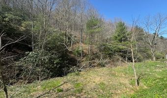 Tbd Poplar Camp Road, Austinville, VA 24382