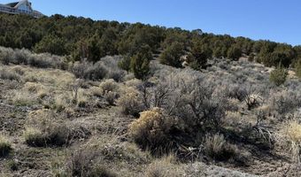 Andy's Way, Elko, NV 89801
