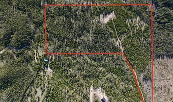 NHN Herring Flats Road, Anaconda, MT 59711