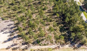 119 Beagle Chase Dr, Appling, GA 30802