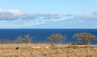 56-2891 HALEAKALA VIEW Pl, Hawi, HI 96719
