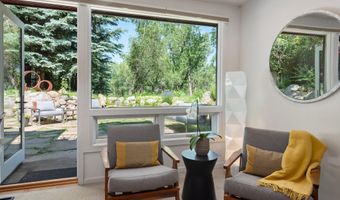 117 Neale Ave, Aspen, CO 81611